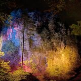 Zeichnen mit Licht und Stift: Das Sujet der Landschaft von Bürkel bis Bracke