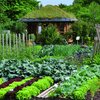 Der Kleingarten für Gemüse im Frühjahr - Führung