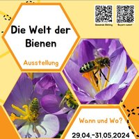 Bienen, Schmetterlinge & Co.: ´Bayern summt´ im Rathaus Gilching