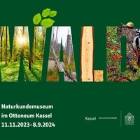  Familienführung zum Internationalen Museumstag: Sonderausstellung Wald