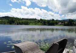 Geführte Halbtageswanderung: Bad Bayersoien-Naturschutzgebiet Haselbachrunde-Soier See 6 km, 2 Std.,flach