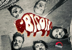 Bison - live in concert