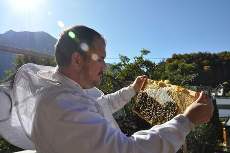 Führung am Bienenstand